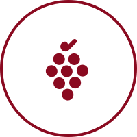 Grapes icon with a circle around it